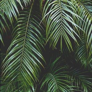 Meet your Posher, Celeste